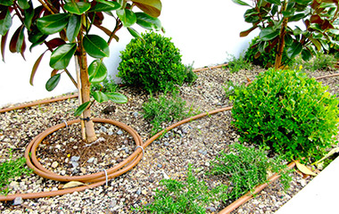 Landscape Execution-Soft landscape and Errigaion