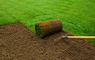 Turf installation and maintenance